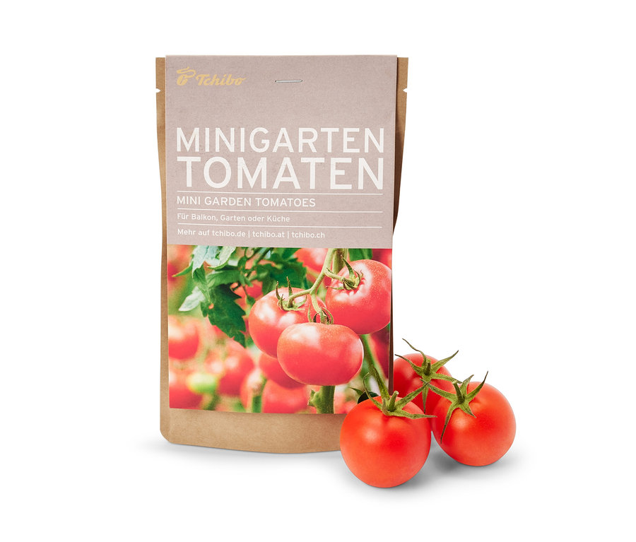 Mini-jardin dans une pochette en papier, tomates.