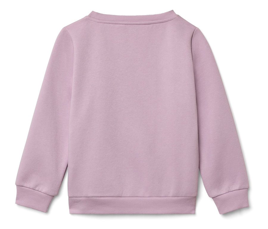 Vue arrière d'un sweat-shirt à manches longues violet clair.
