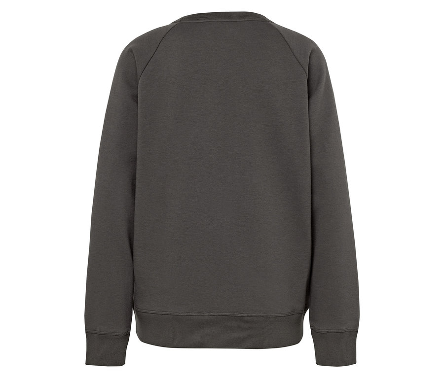 Vue arrière d'un sweat-shirt gris à manches longues.