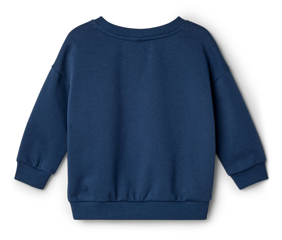 Pull bleu marine à plat sur fond blanc.