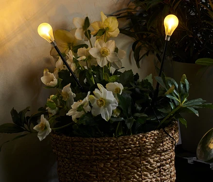 Un panier avec des fleurs blanches et deux piquets lumineux à LED.