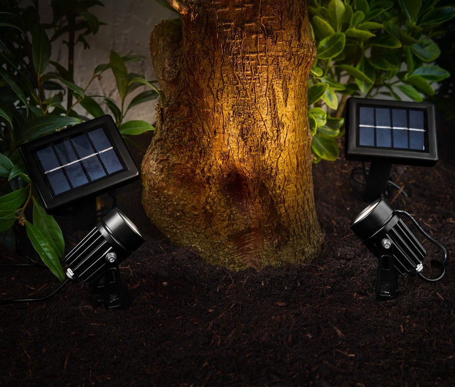 Deux spots solaires illuminent un tronc d'arbre dans un jardin.
