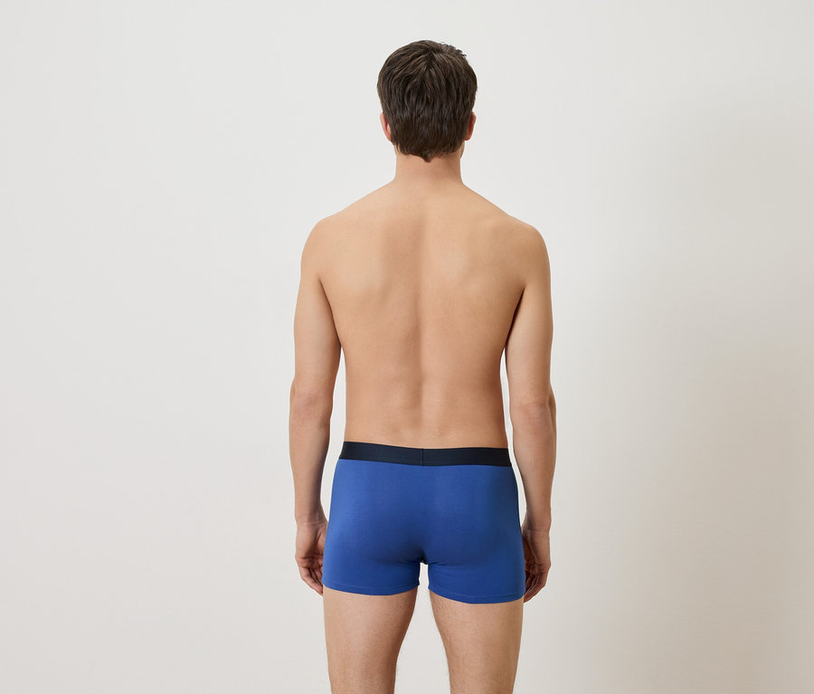 Un homme se tient dos à la caméra et porte un boxer bleu.