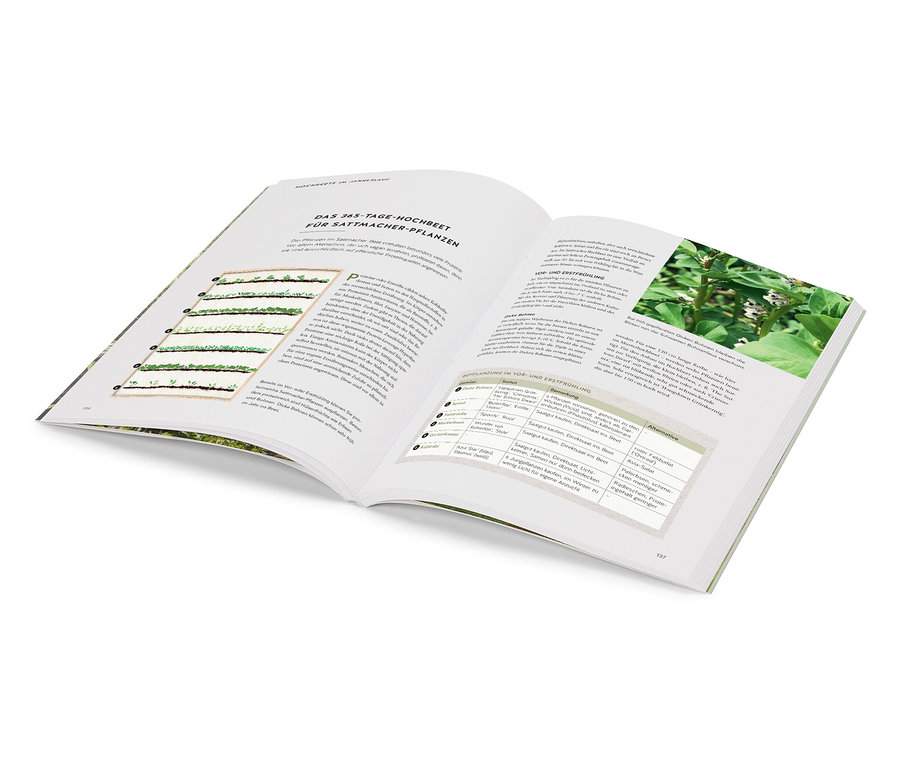 Livre ouvert avec illustrations et texte sur les plantes.