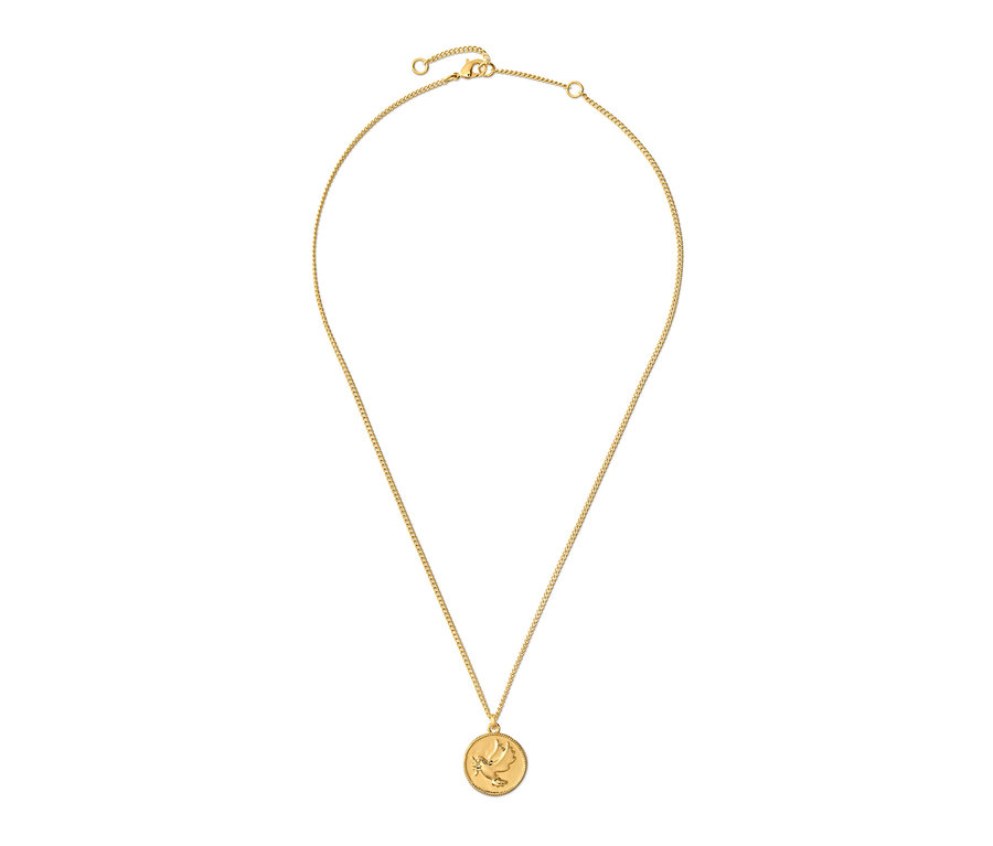 Chaîne colombe dorée avec un pendentif rond sur fond blanc.