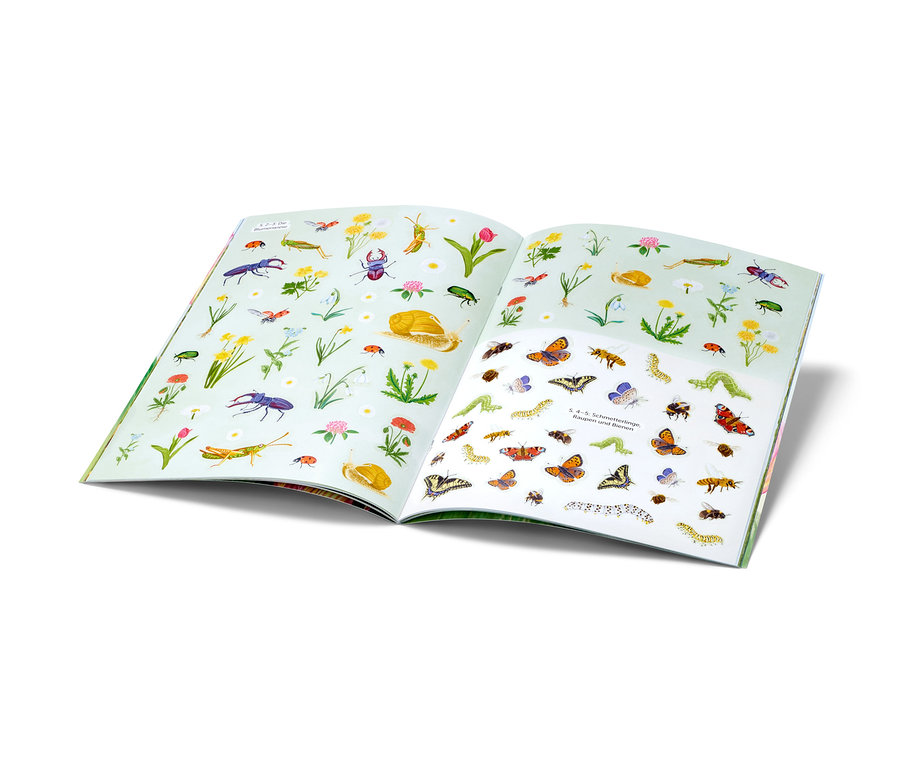 Un livre ouvert avec des illustrations d'insectes et de plantes.