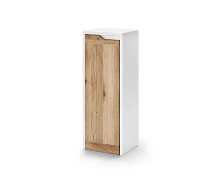 Armoire d'appoint blanche avec porte en bois.