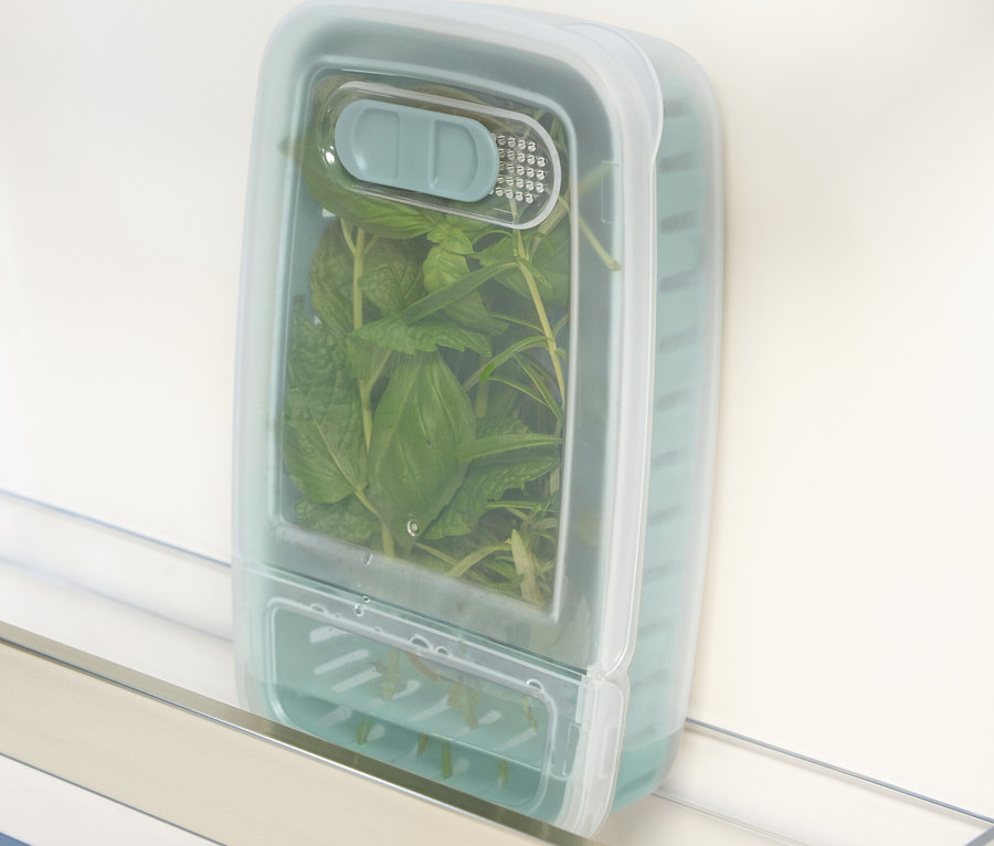 Des herbes vertes dans un récipient bleu-vert dans un réfrigérateur.