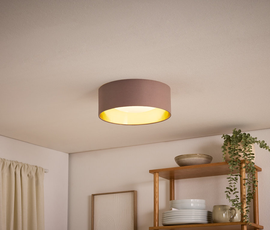 Un plafonnier rond marron avec un intérieur doré éclaire une pièce. En dessous, une étagère en bois contient des assiettes blanches, une tasse, un bol et une plante en pot retombante. Un rideau clair est accroché à gauche.