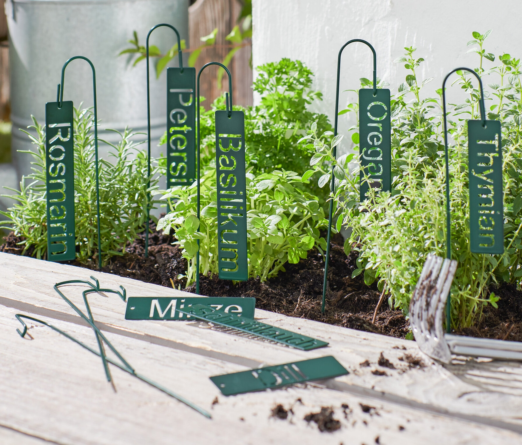 Plaques vertes pour herbes aromatiques avec les inscriptions Romarin, Persil, Basilic, Origan et Thym dans un jardin d'herbes aromatiques.