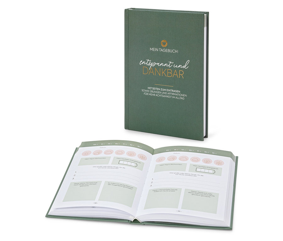 Deux carnets verts, un fermé et un ouvert.