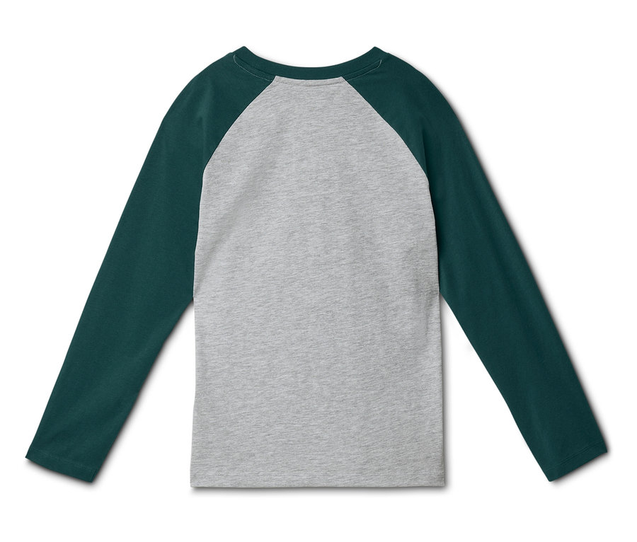 Vue de dos d'un t-shirt raglan à manches longues avec un corps gris et des manches vert foncé sur un fond blanc.