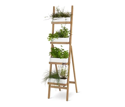 Échelle à plantes pliable avec bacs à plantes, blanc, avec quatre bacs à plantes blancs remplis de plantes.