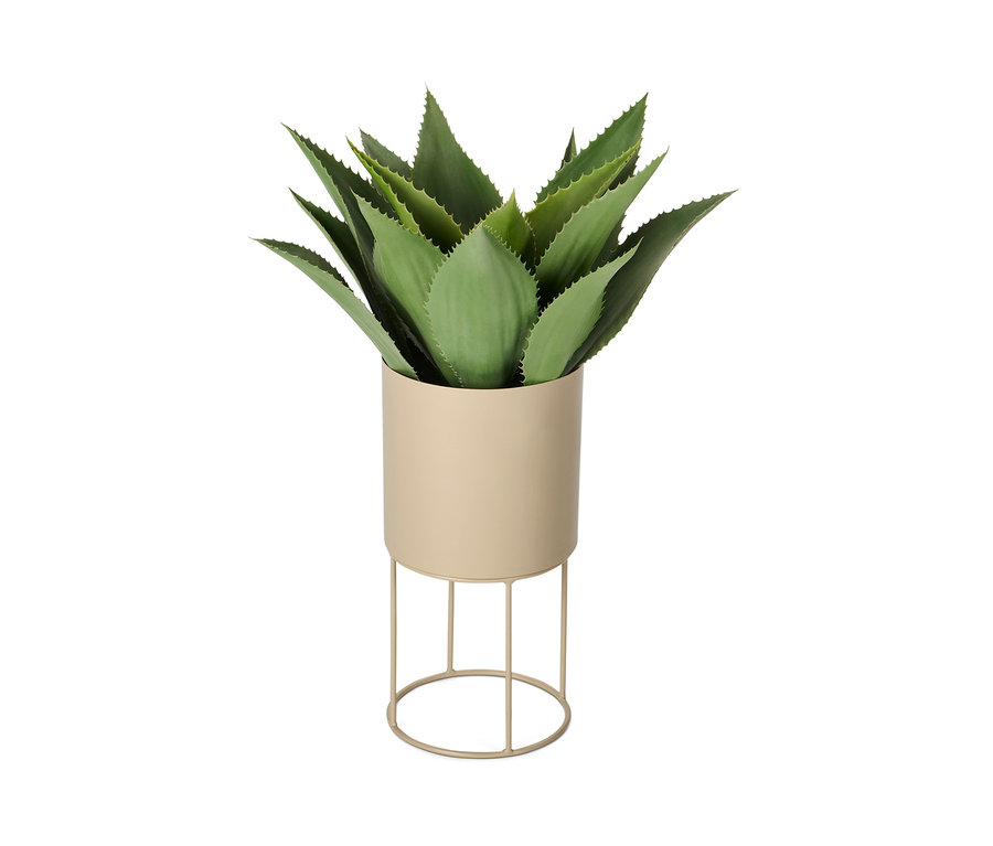 Plante verte dans un cache-pot rond beige.