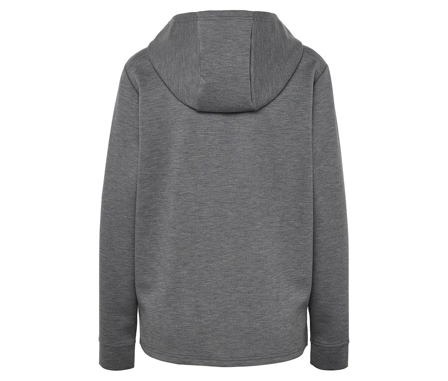 Vue arrière d'un sweat à capuche gris.