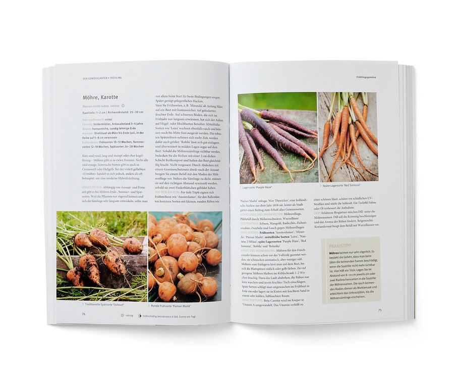 Livre ouvert avec des images de carottes et du texte du livre « Dein eigenes Gemüse » (tes propres légumes, en allemand).