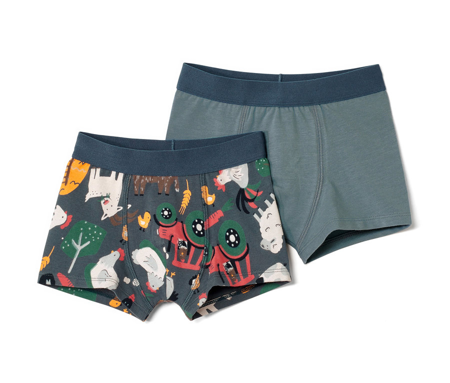 Deux boxers pour garçons, un avec un motif de ferme, l'autre bleu.