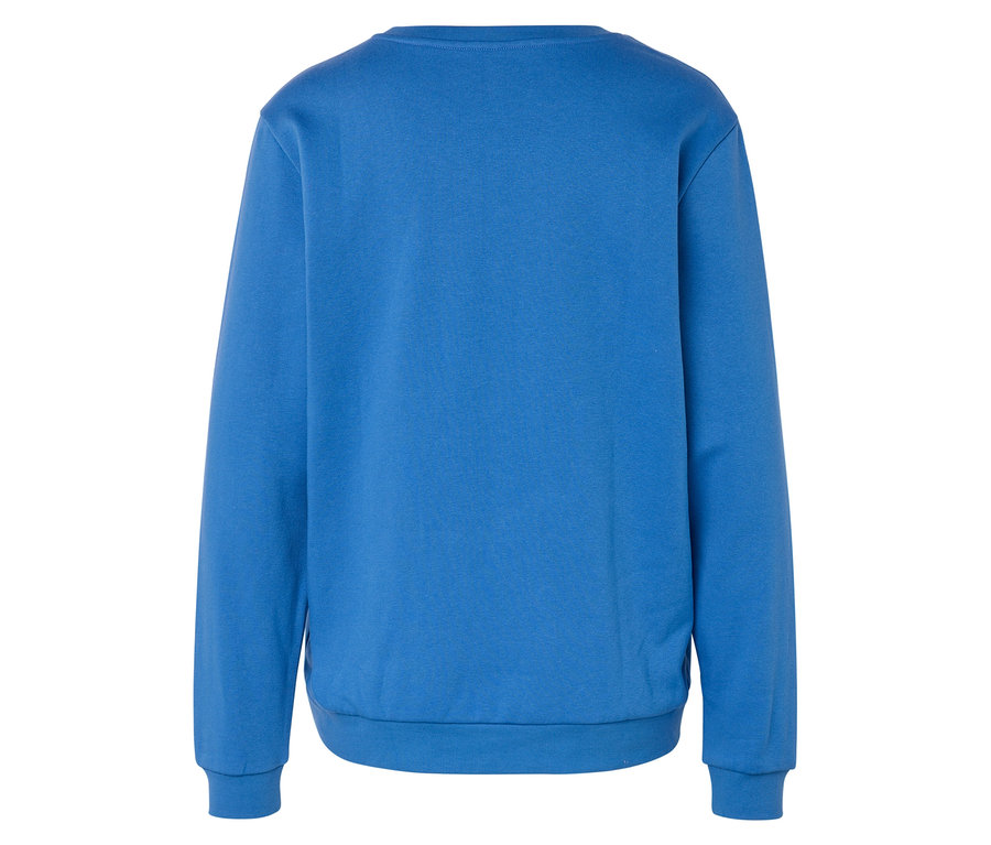 Vue arrière d'un sweat-shirt bleu.