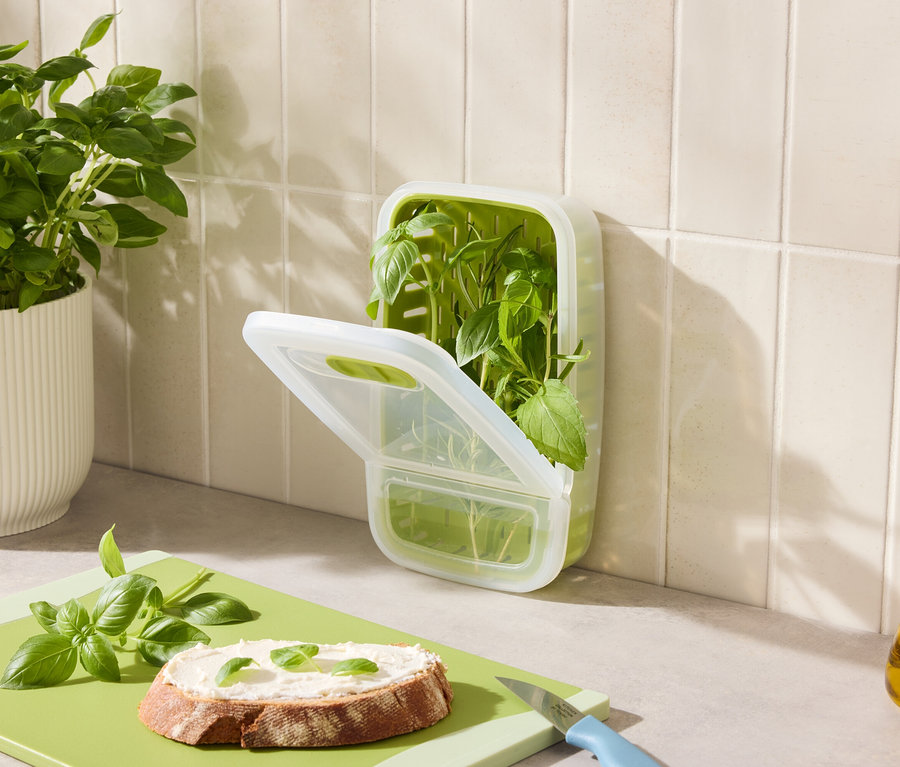 Sur le comptoir se trouvent du basilic en pot, un récipient de basilic, du pain au basilic et de l'huile.