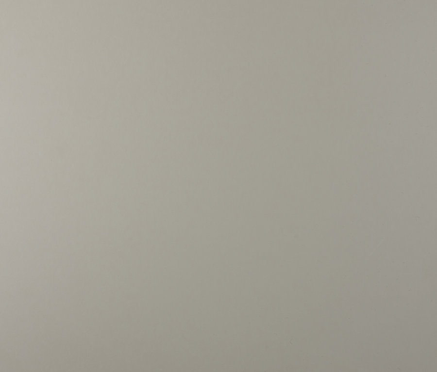 Arrière-plan gris clair.