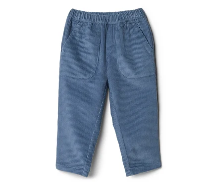 Pantalon en velours côtelé bleu avec taille élastique et deux poches plaquées à l'avant.
