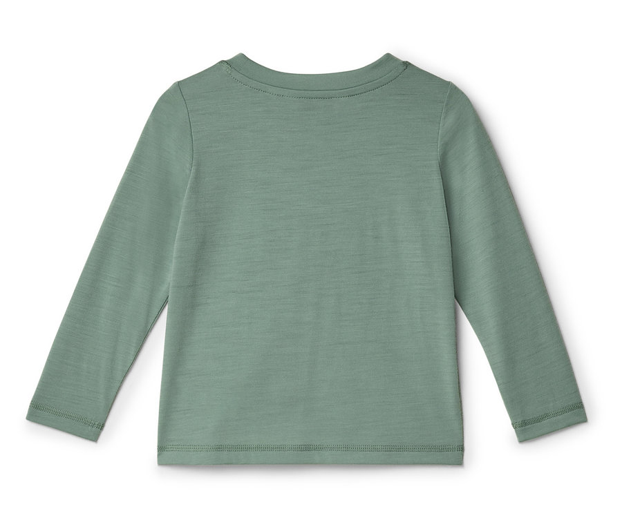 Vue de dos d'un t-shirt uni vert sauge à manches longues et col rond.