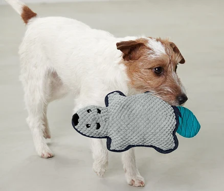 Chien tenant un jouet en peluche pour chien « Castor » dans sa gueule.