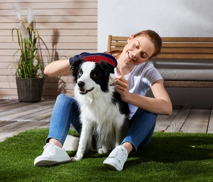 Une femme assise sur l'herbe brosse un chien noir et blanc.