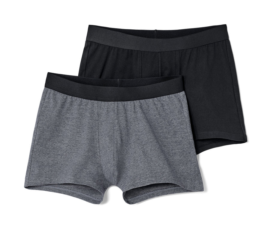 Deux boxers, un gris et un noir.