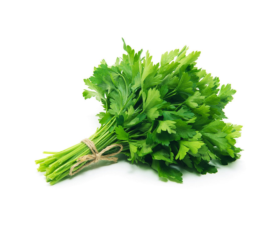 Un bouquet de persil plat, 8 herbes aromatiques classiques, lié par une ficelle, est posé sur un fond blanc.
