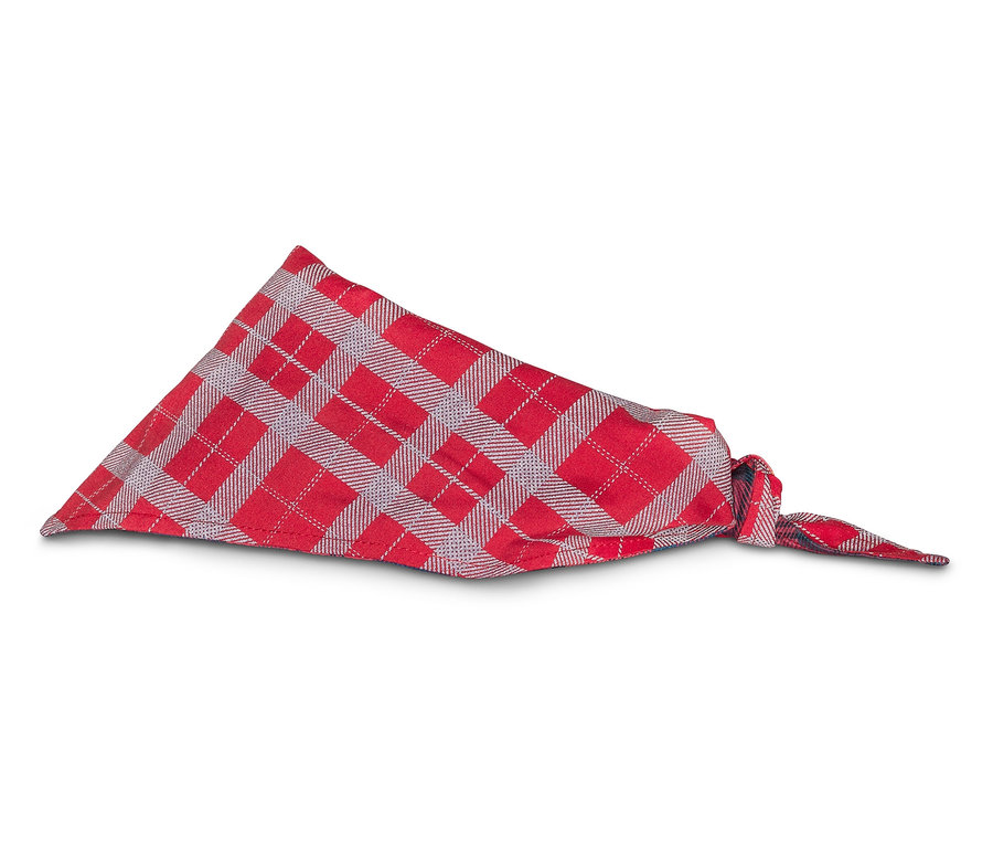 Un bandana rouge à carreaux sur un fond blanc.