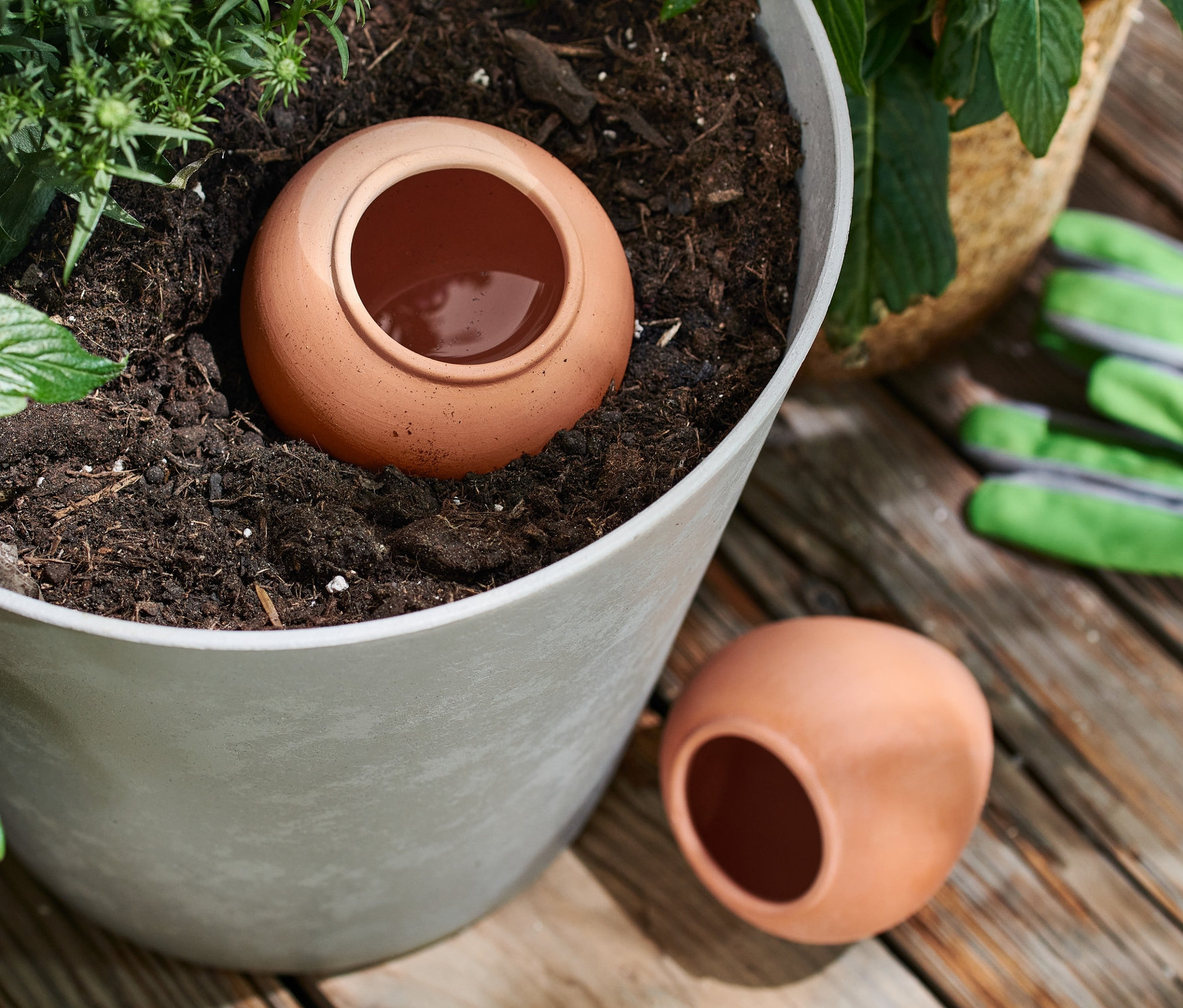 Un accessoire d'arrosage en argile est placé dans un pot de fleurs contenant des plantes, un autre est posé à côté du pot.