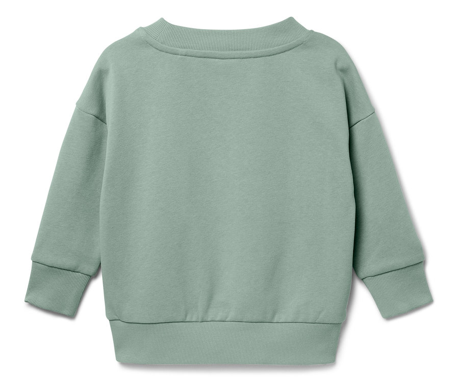 Vue arrière d'un sweat-shirt vert clair.