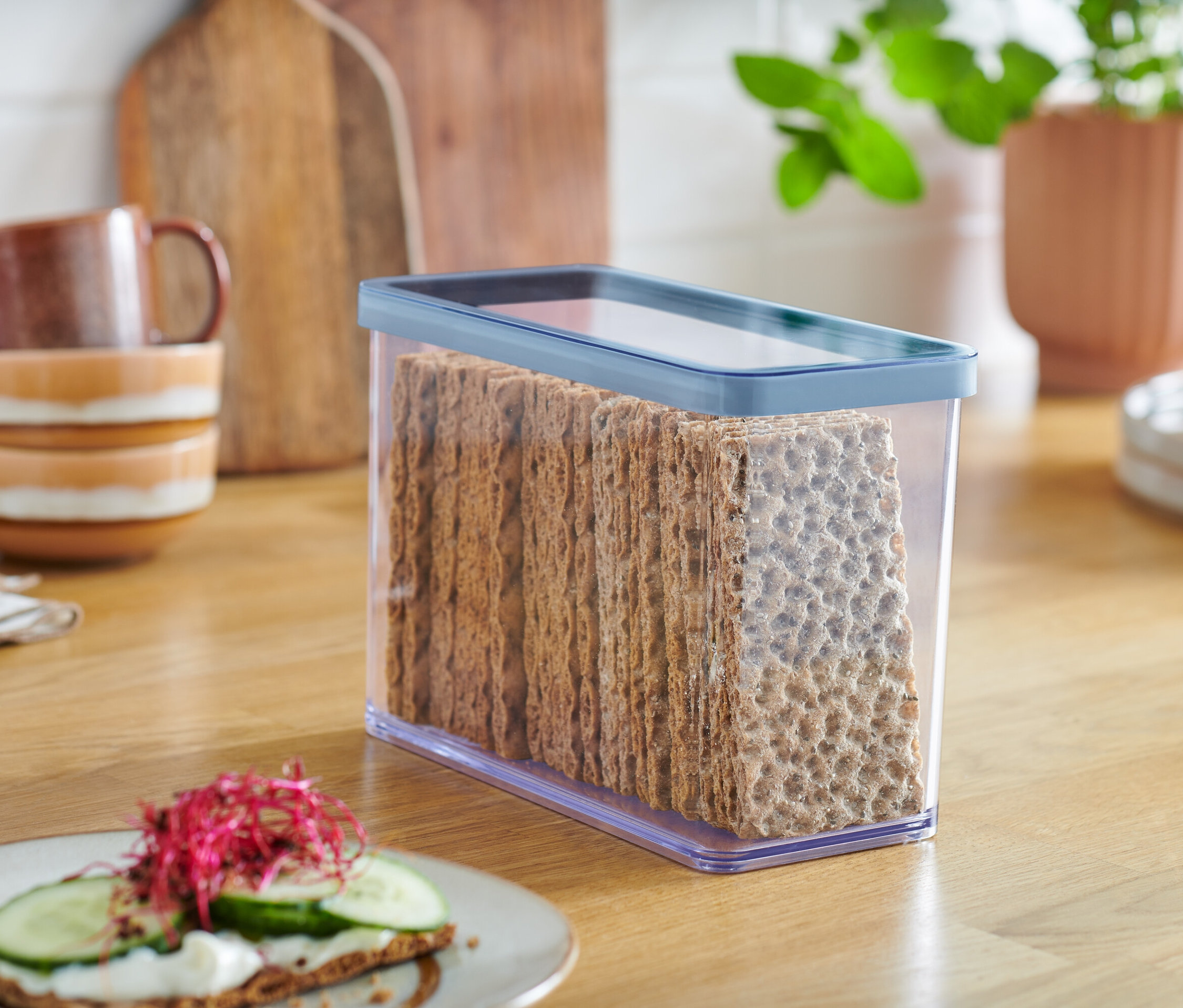 Pain croustillant dans une boîte de rangement transparente.