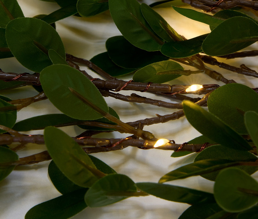Gros plan de tiges avec des feuilles et des lumières LED en arrière-plan.