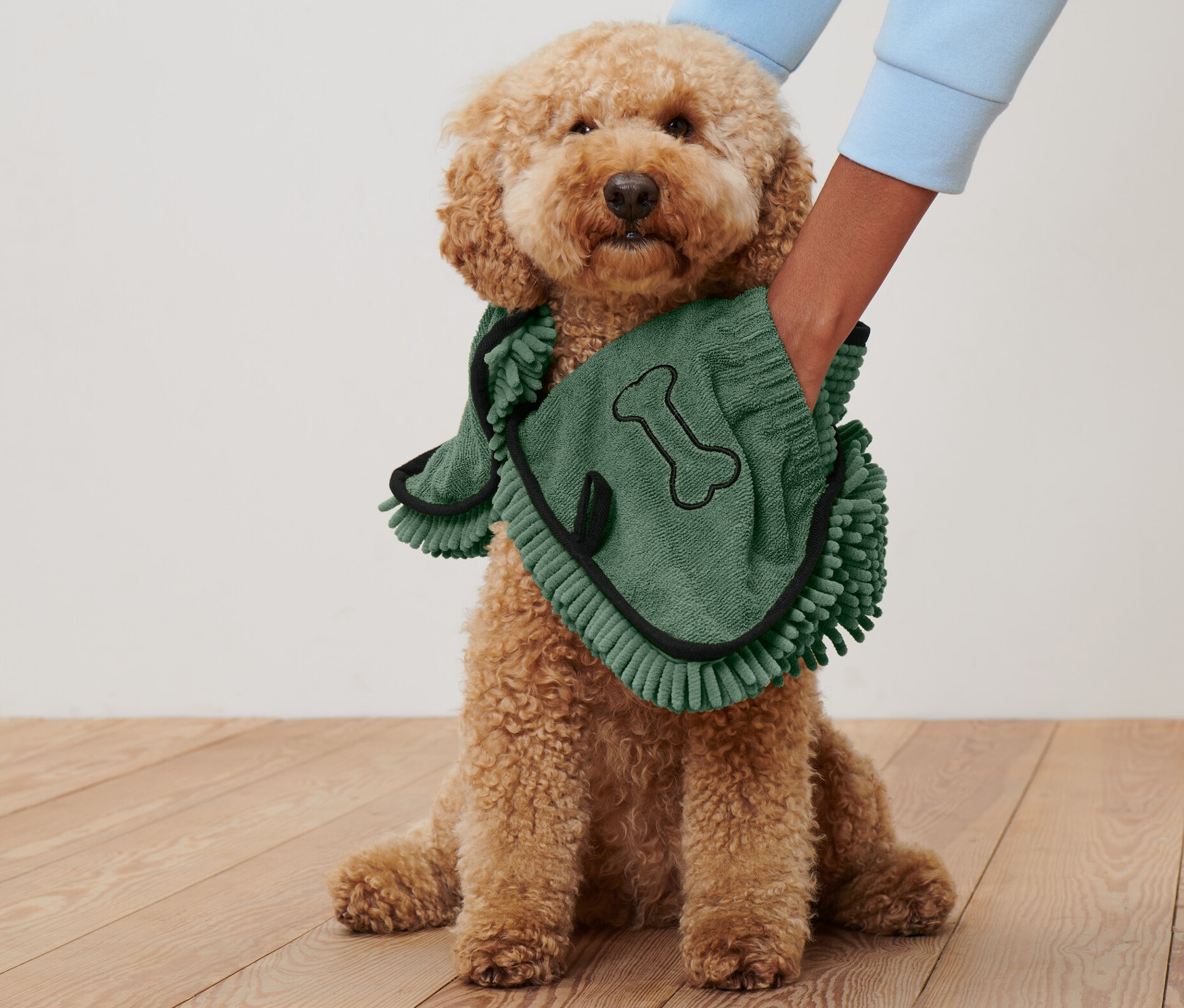 Un caniche est assis pendant qu'il est séché avec une serviette pour chien verte avec des poches.