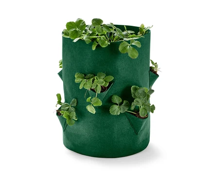 Sac à plantes, fraises, vert avec des plantes.