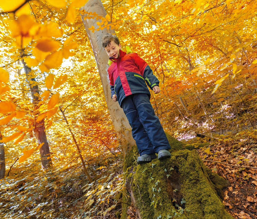 Un garçon se tient sur une souche d'arbre dans une forêt d'automne aux feuilles jaunes.