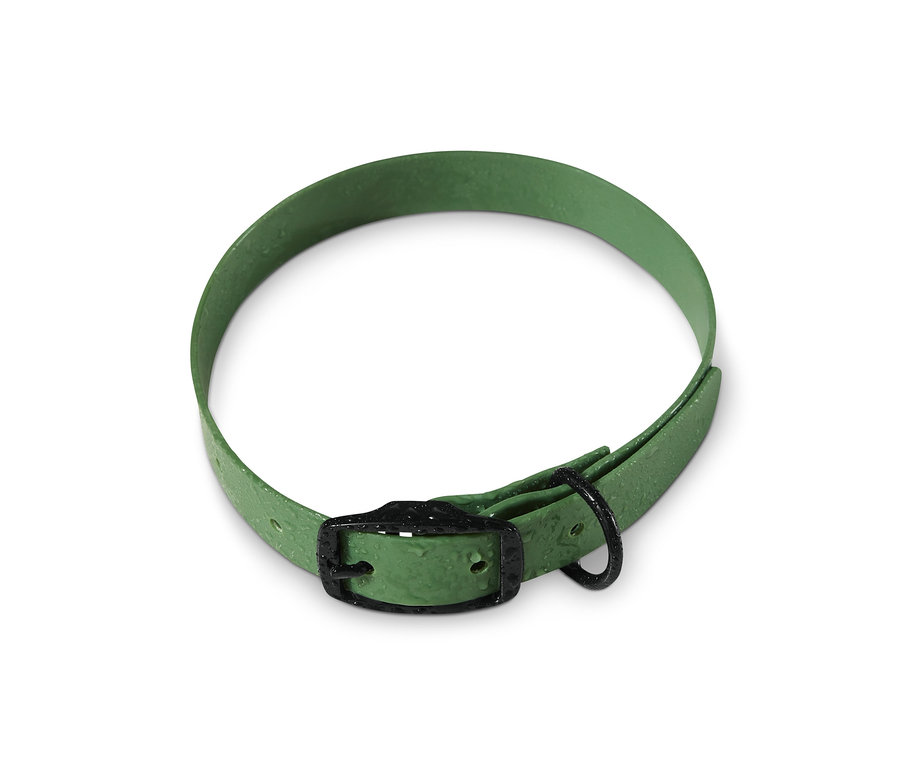 Un collier pour chien vert reposant sur un fond blanc.
