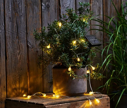 Guirlande lumineuse solaire enroulée autour d'une plante en pot sur une caisse en bois.