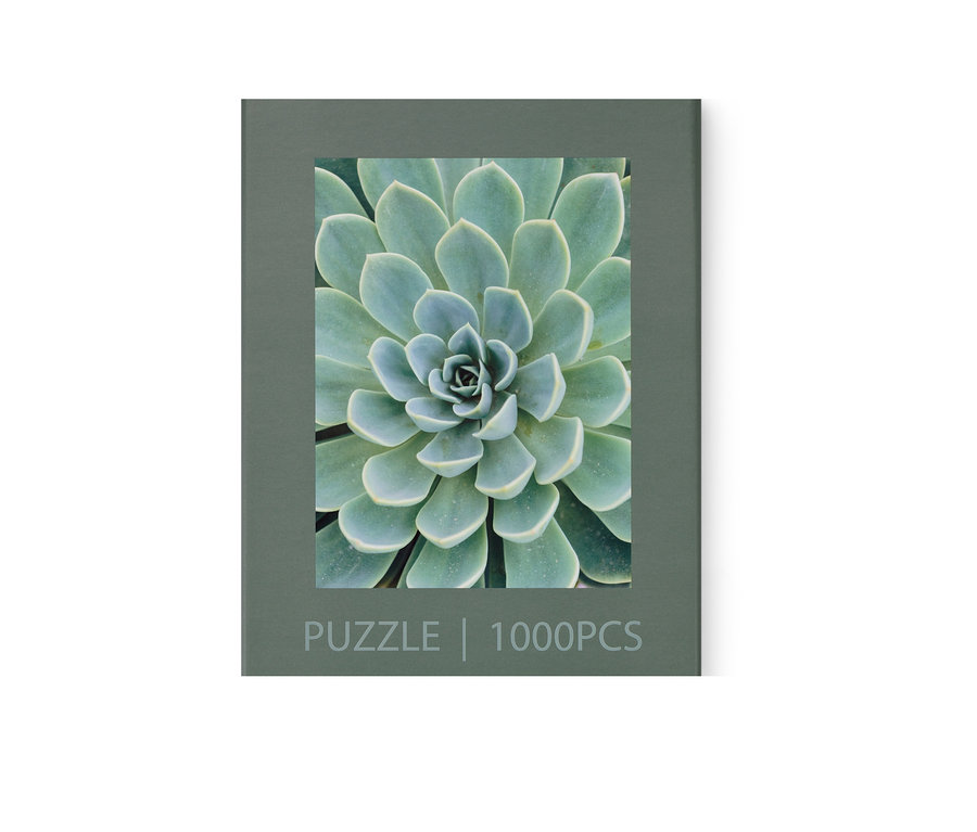 Boîte du puzzle « Succulentes ».