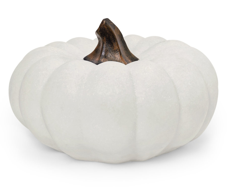 Une citrouille blanche avec une tige marron sur un fond blanc.