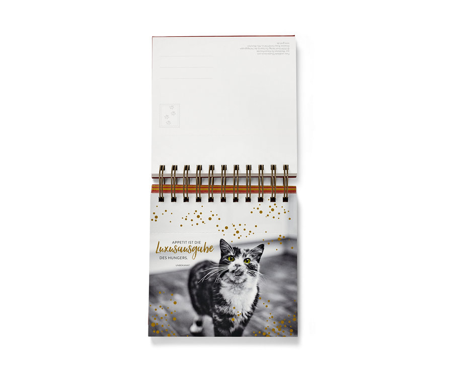 Vue d'un calendrier de table avec une photo en noir et blanc d'un chat et du texte doré. Présentoir «	Weisheiten für Katzenfreunde	» (Mots de sagesse pour les amis des chats, en allemand).