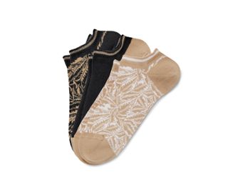 Feuilles de palmier