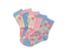 Cinq paires de chaussettes roses pour tout-petit.