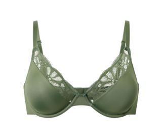 Vert olive
