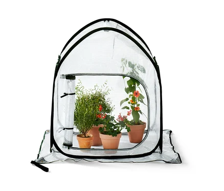 Quatre pots de fleurs avec des plantes à l'intérieur d'une petite serre pop-up pour protéger les plantes.