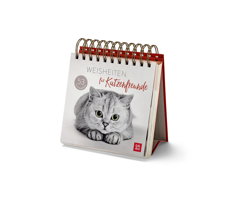 Présentoir « Weisheiten für Katzenfreunde » (Mots de sagesse pour les amis des chats, en allemand) avec la photo d'un chat gris.