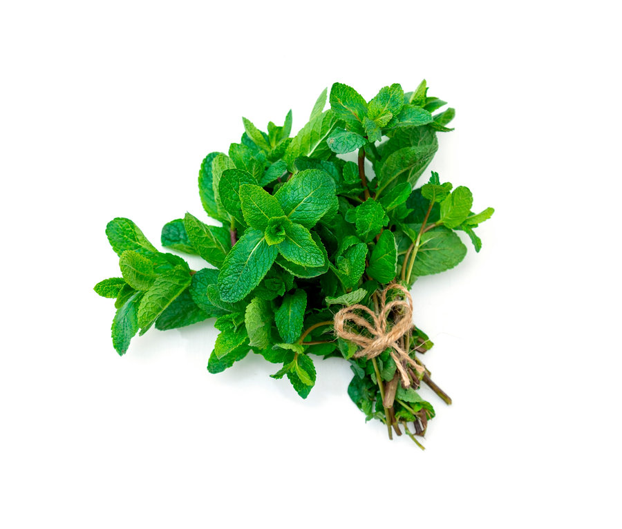 Un bouquet de 8 herbes aromatiques classiques, liées par une corde de jute en forme de cœur, repose sur un fond blanc.