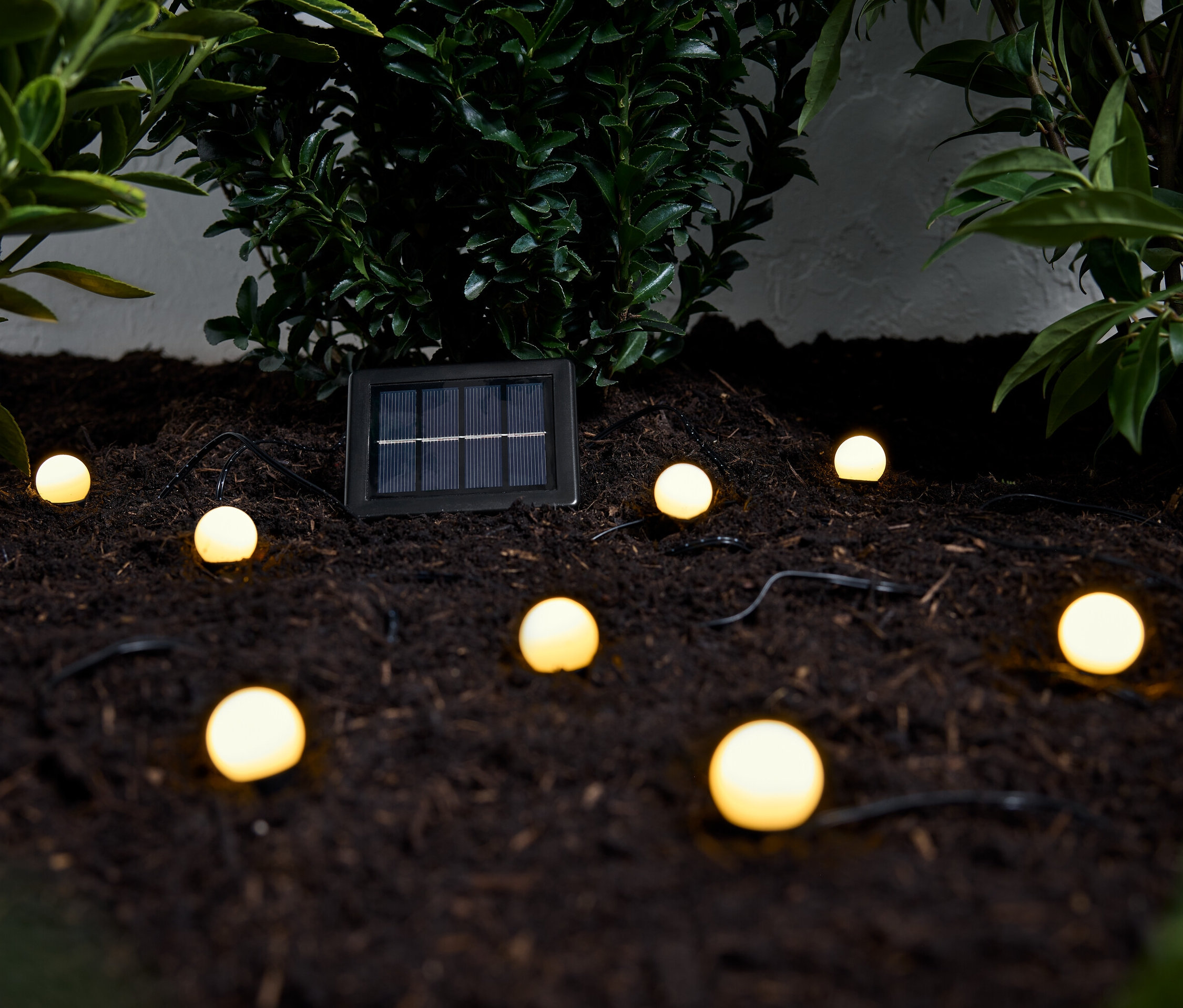 Une guirlande lumineuse solaire avec plusieurs lumières rondes repose sur de la terre brune parmi des plantes vertes.